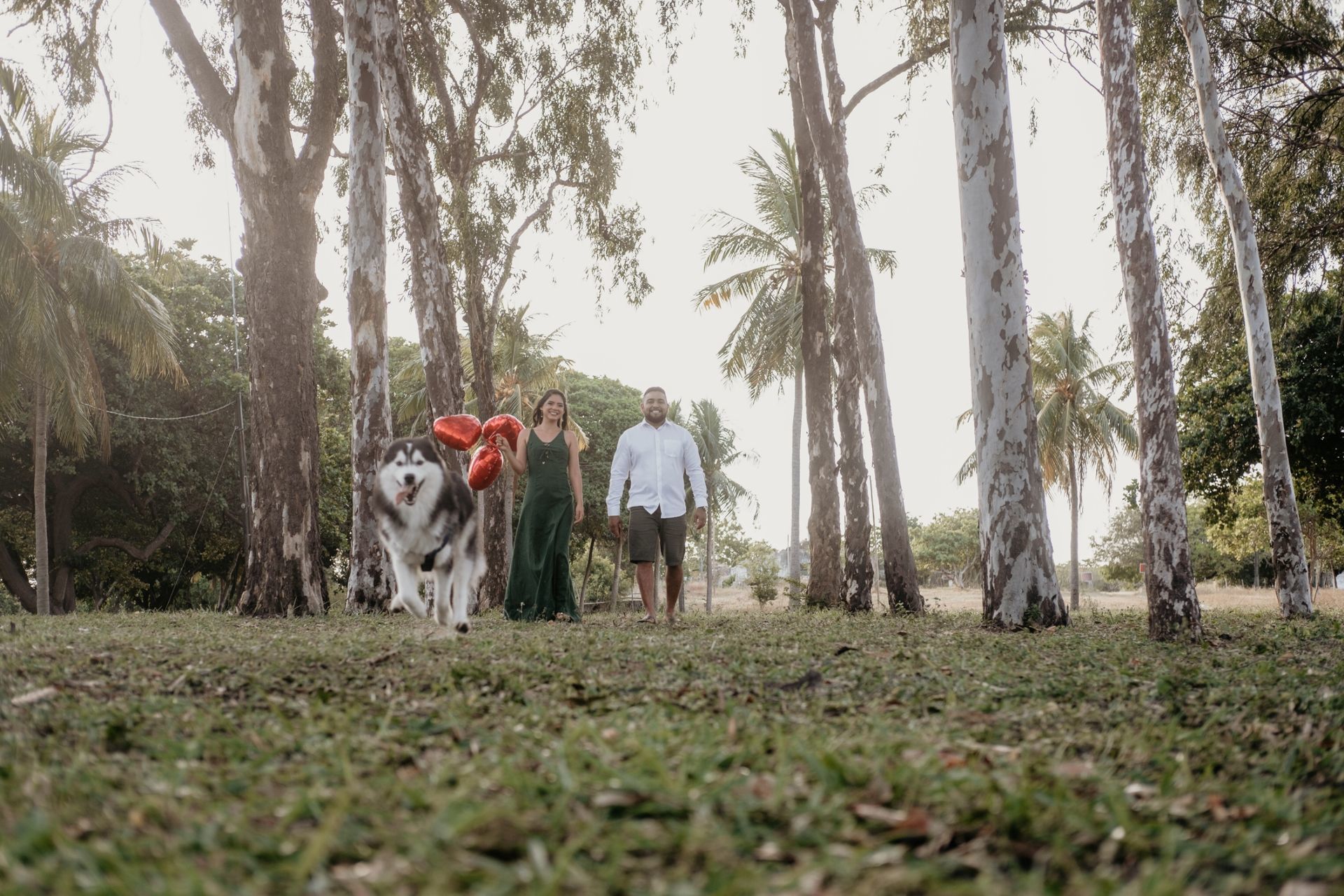 Foto Ravena & Felipe | Pré-Casamento | Fazenda Terra do Sol - Tabuba-CE Foto Ravena & Felipe | Pré-Casamento | Fazenda Terra do Sol - Tabuba-CE - Imagem 18