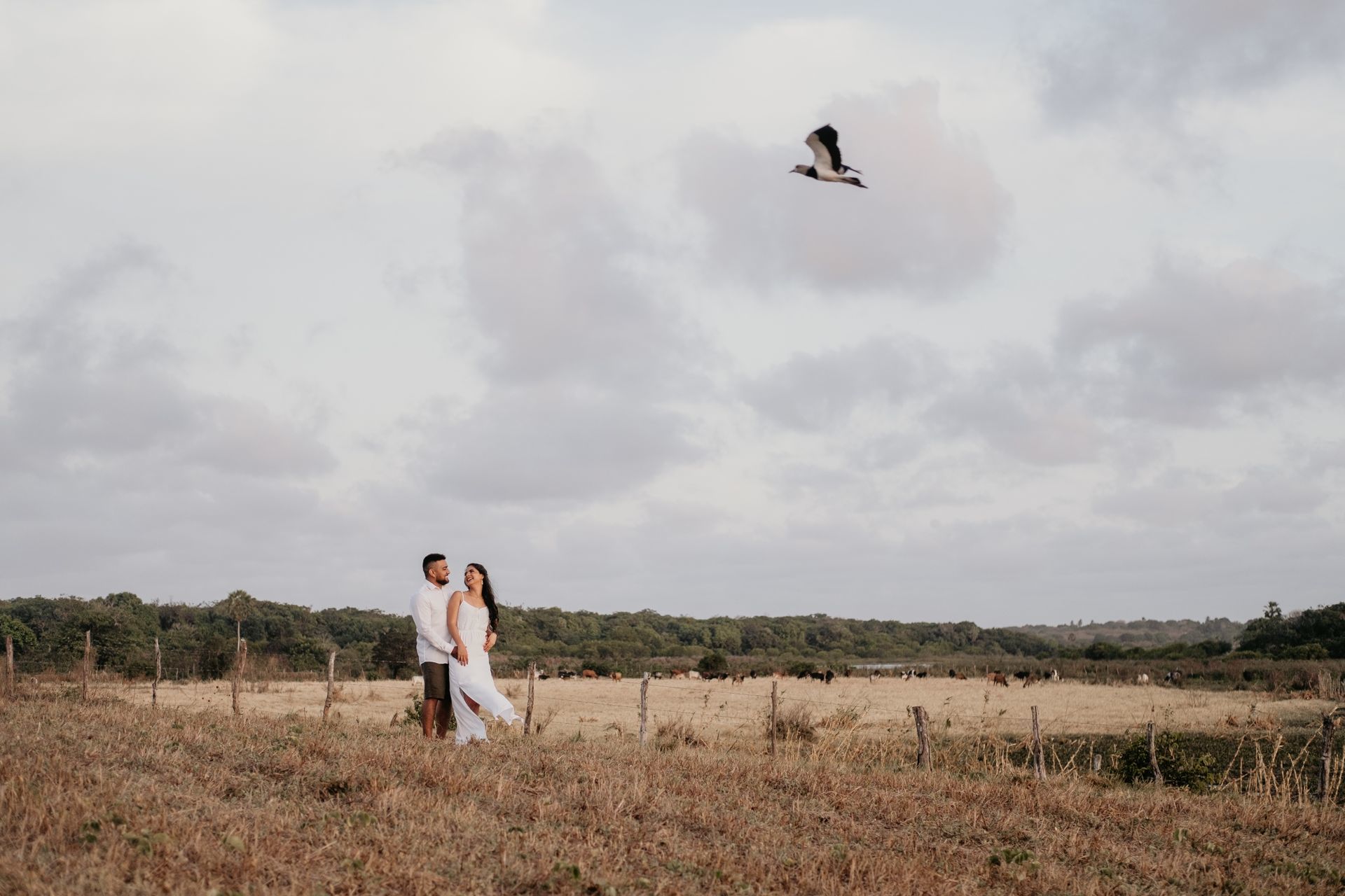 Foto Ravena & Felipe | Pré-Casamento | Fazenda Terra do Sol - Tabuba-CE Foto Ravena & Felipe | Pré-Casamento | Fazenda Terra do Sol - Tabuba-CE - Imagem 28