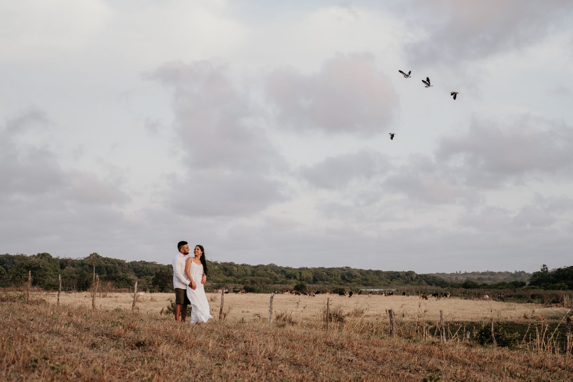 Foto Ravena & Felipe | Pré-Casamento | Fazenda Terra do Sol - Tabuba-CE Foto Ravena & Felipe | Pré-Casamento | Fazenda Terra do Sol - Tabuba-CE - Imagem 27